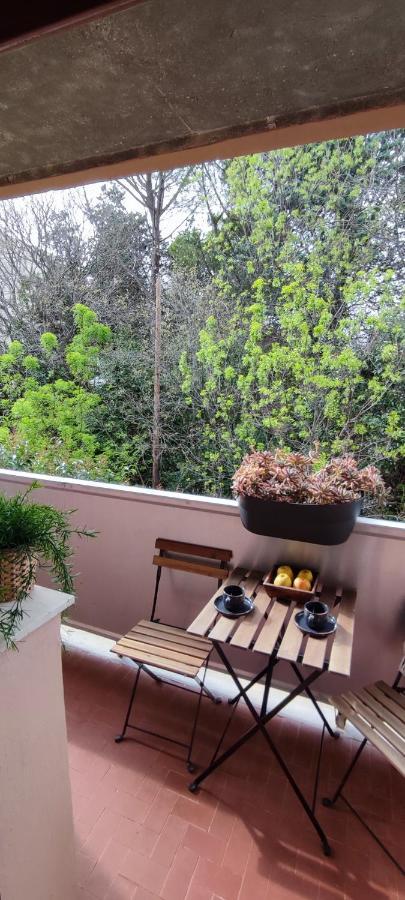Michelet Studio Climatise Avec Balcon Et Parking Ferme Montpellier Exterior photo